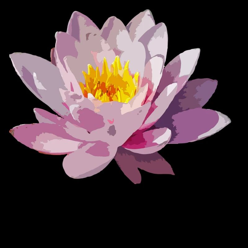 Lotus-Blüte