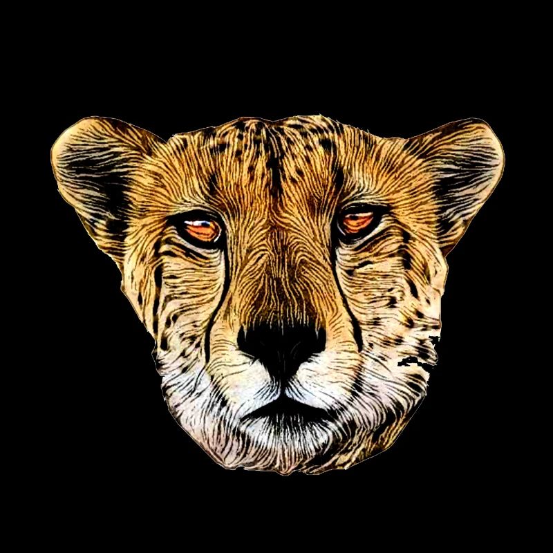 Gepard