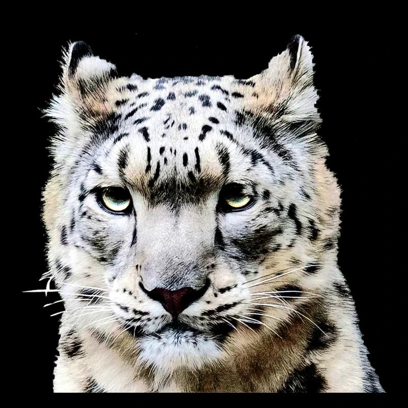 Snow Leopard