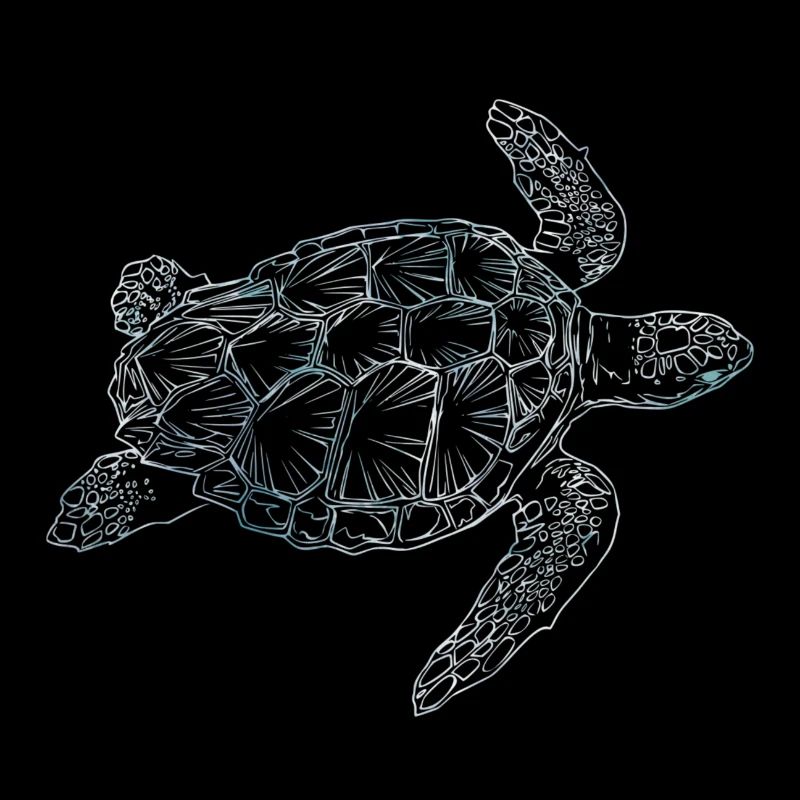 Wavey Turtle