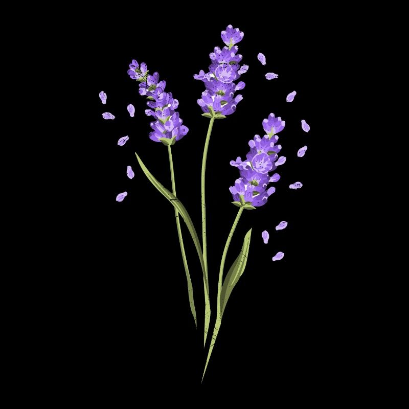 Fleur Pourpre Lavande Été Fleur Idée Cadeau