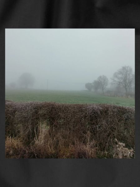 Fog