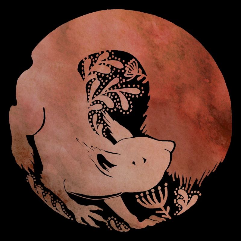 Wiewiórka - Eichhörnchen