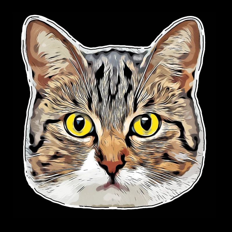toon tabby cat 05