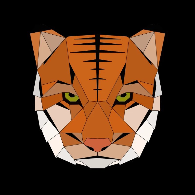 Tiger geometric