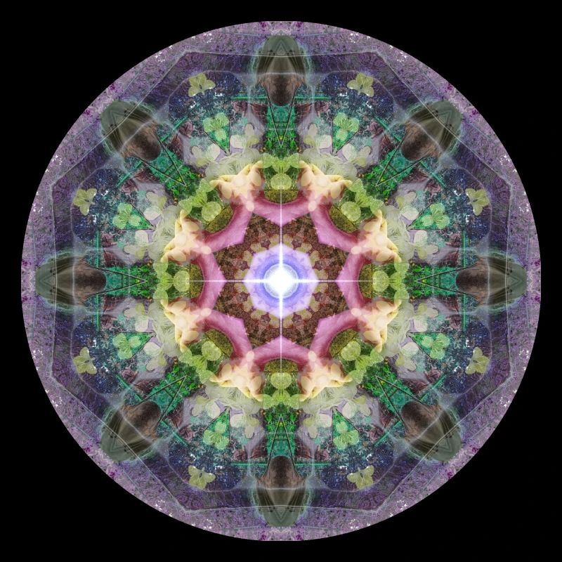 Mandala-Quantum 6