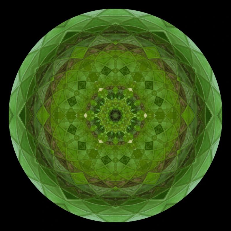 Mandala Graal 7