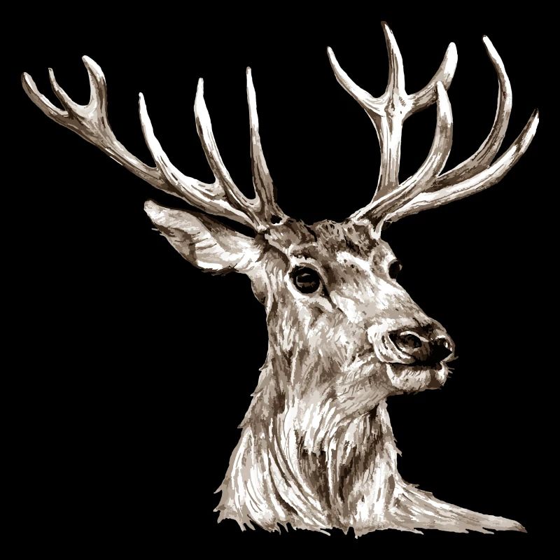 Hirsch