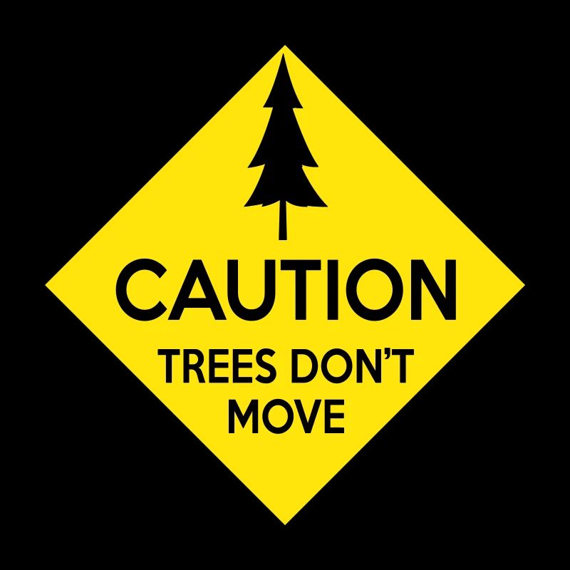 Tree don t move