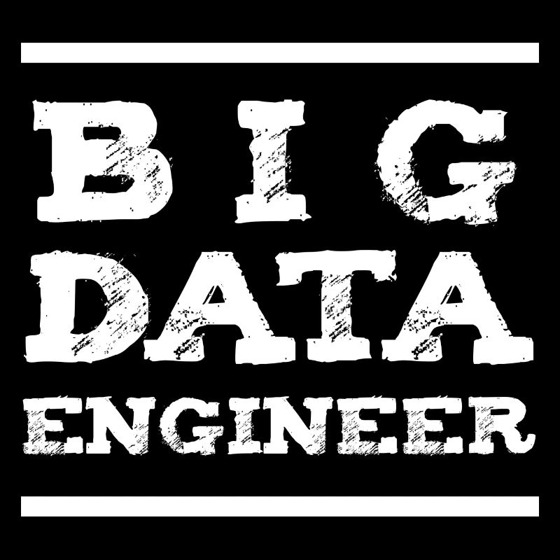 Ingénieur Big Data Technicien Données Informatique