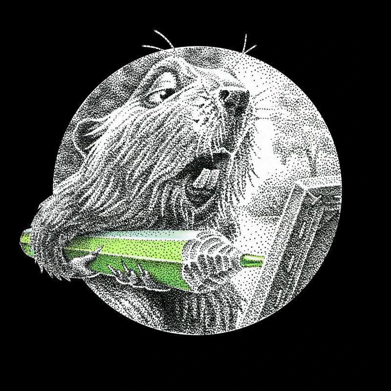 Beaver artist