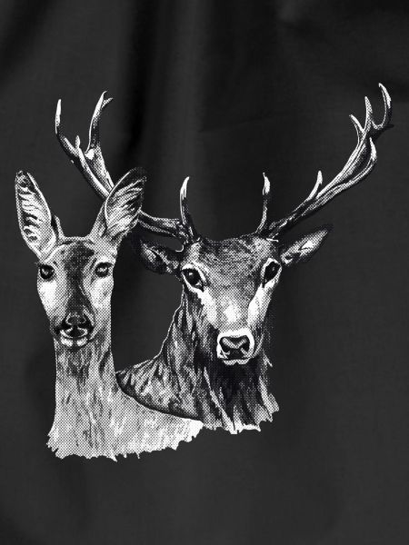 Deer and doe