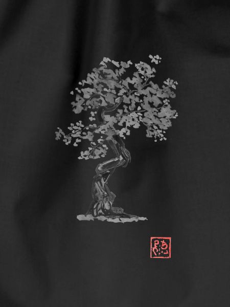 Bonzai 02