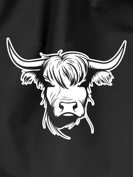 Scottish Highland cow