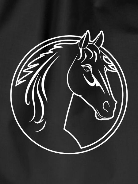Pferd Pferdekopf Pony