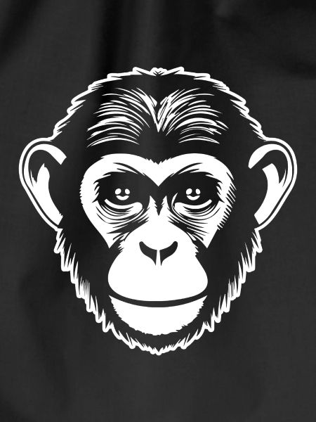 Affe Affen Affengesicht Dschungel
