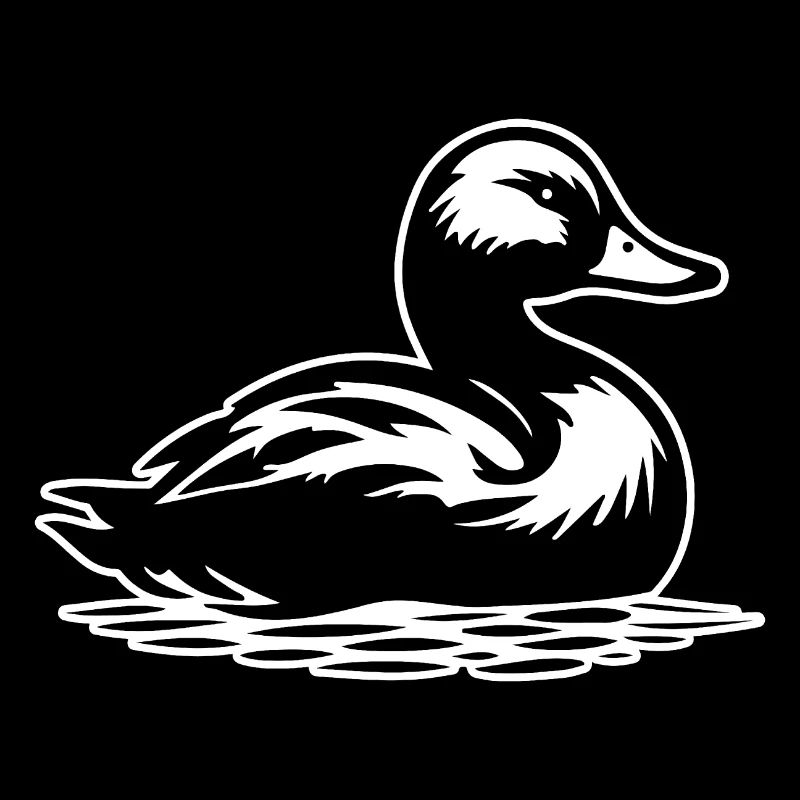 Canard Oiseaux Canards
