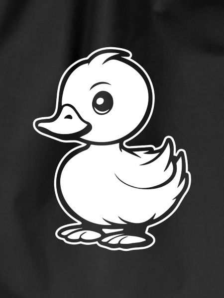Duck Birds Ducks