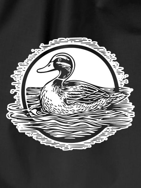 Duck Birds Ducks