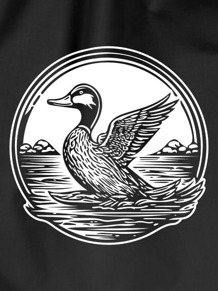 Duck Birds Ducks