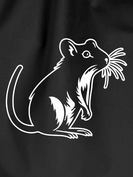 Rat, Mouse, Rodent, Rats