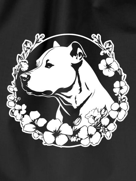 Pitbull