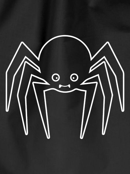 Spider spiders animals