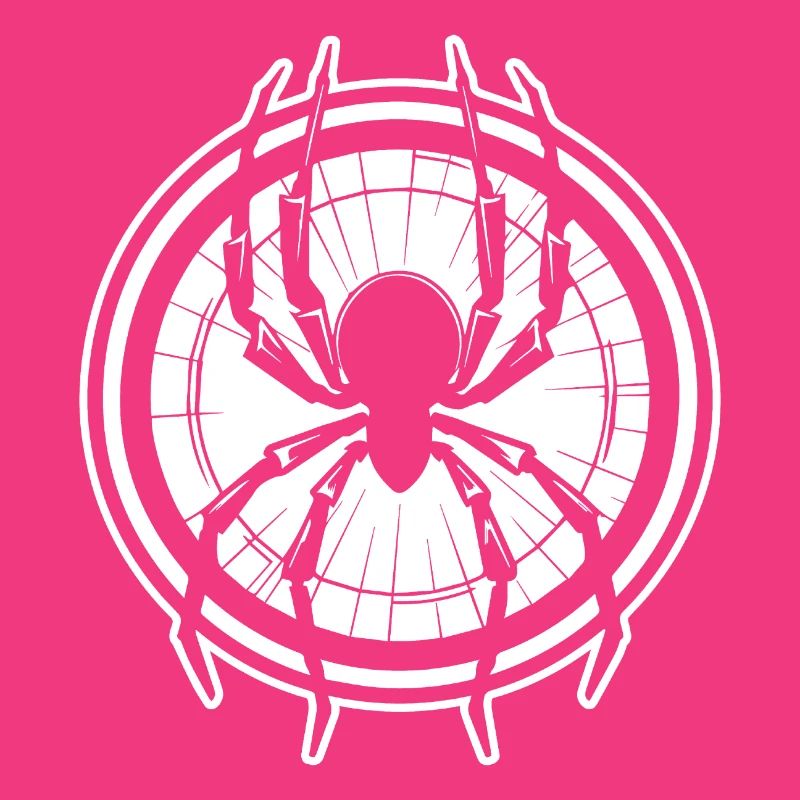 Spider spiders animals
