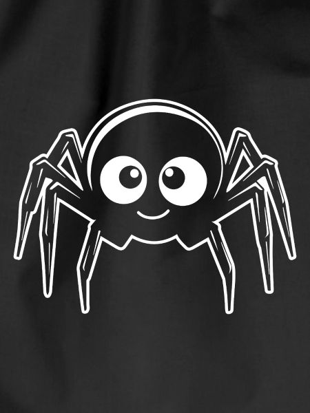 Spider spiders animals