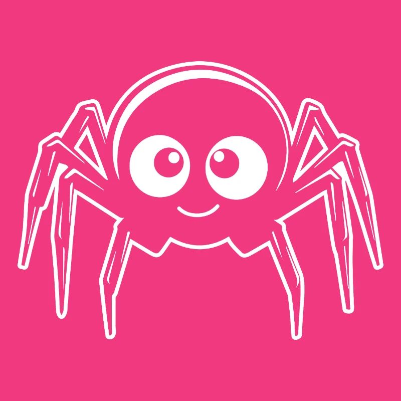 Spider spiders animals