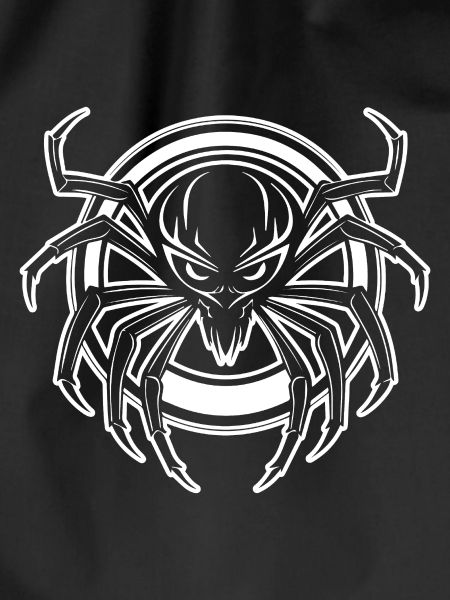Spider spiders animals