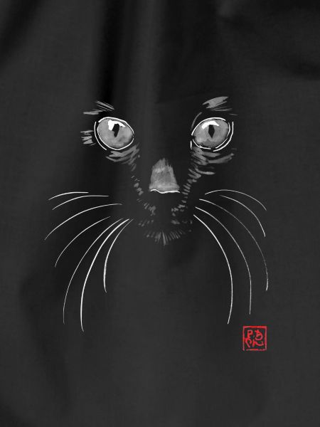 black cat in black