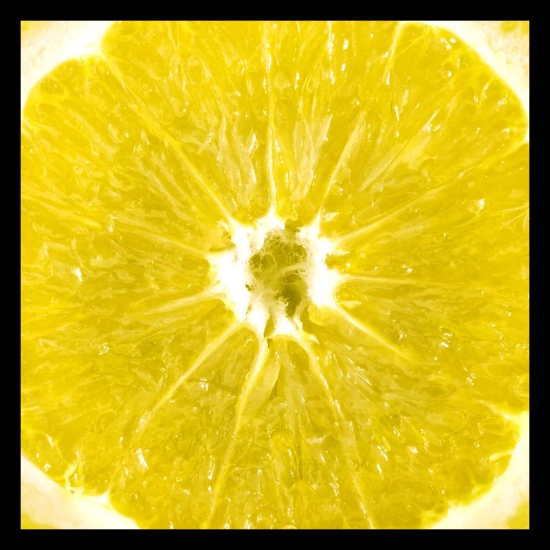 Slice of lemon
