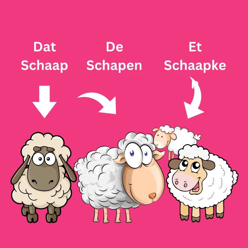 Dat Schap