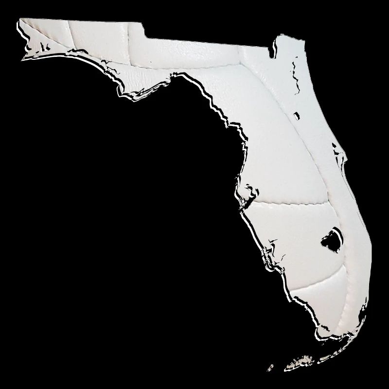Real Volleyball in the Florida State Map