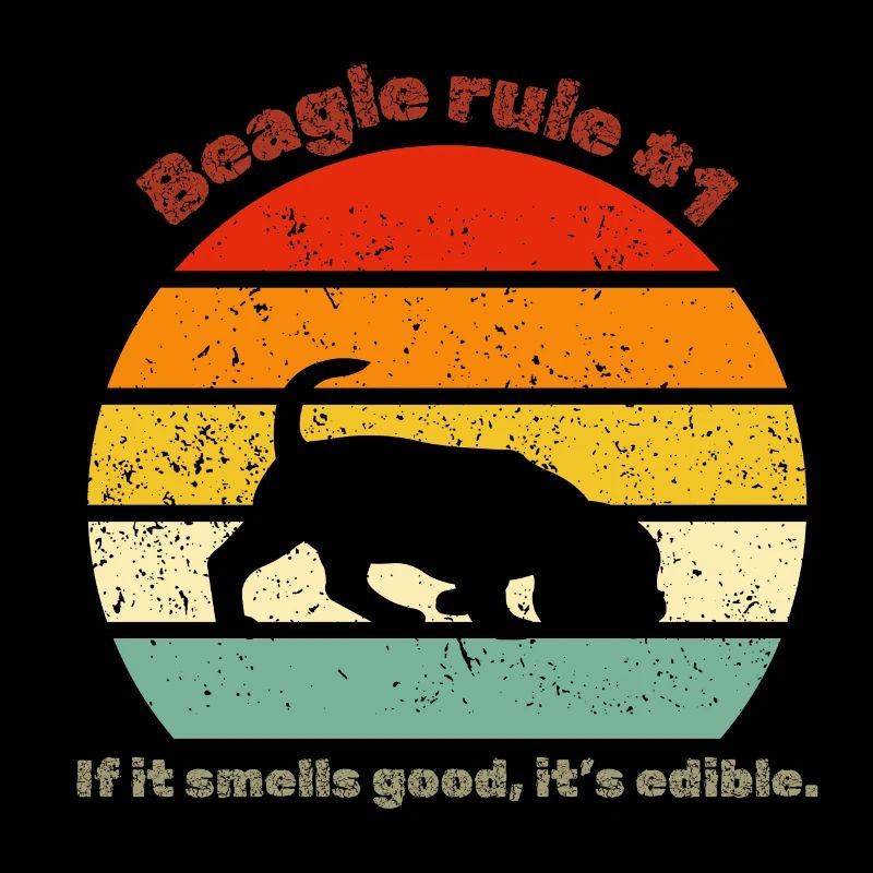 Beagle rétro