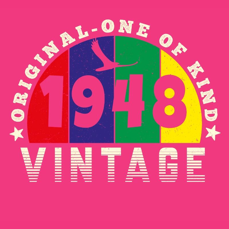 Vintage 1948 Retro - Bursdag