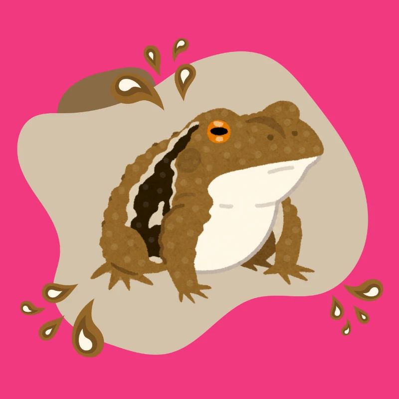 Toad