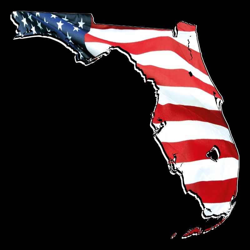 USA Flag in Florida State Map