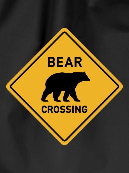 Bear crossing