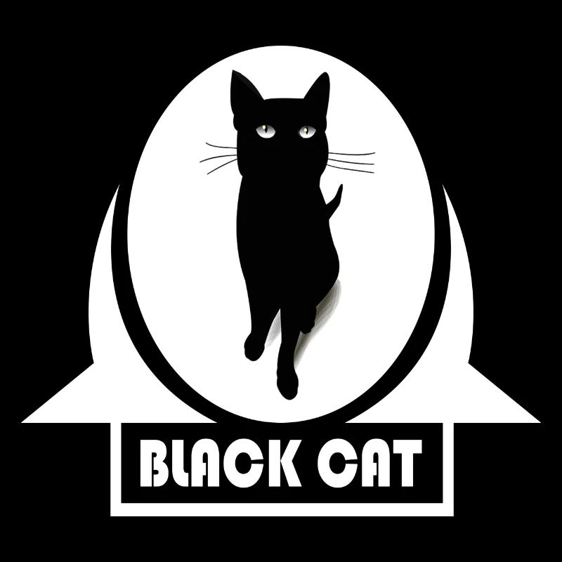 Chat noir chat noir malchance malchance