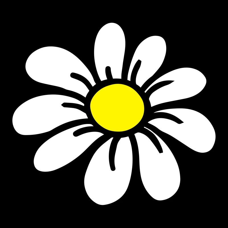 daisy_flower