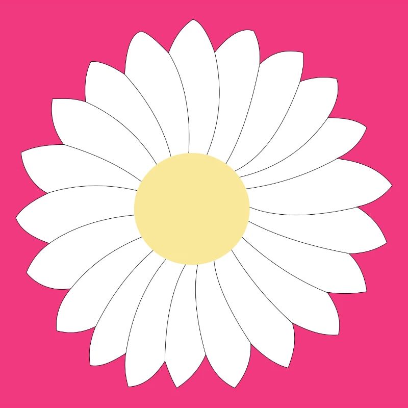 Gänseblümchen