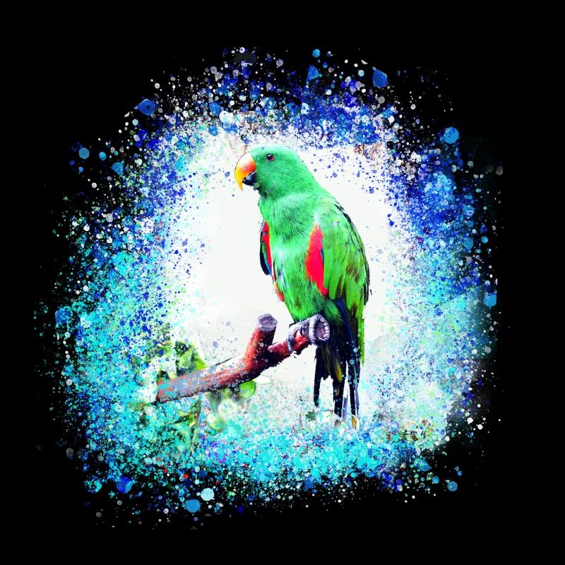 sittich ara,,vogel,graffiti,mint,blau,brush,spray