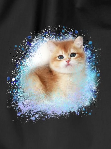 kitten,cat,kitten,graffiti,painting