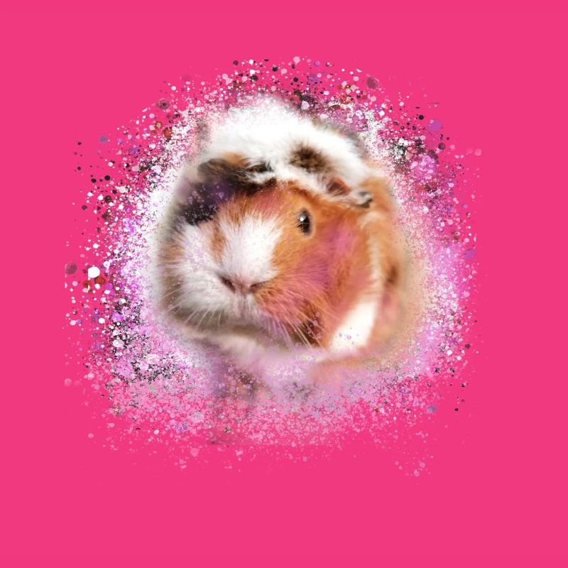 cochons d’Inde, graffitis, cochons d’Inde rosette