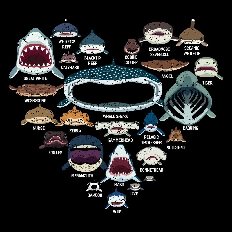 Shark