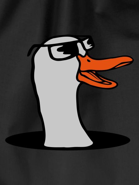 Bottom Hole Sunglasses Goose