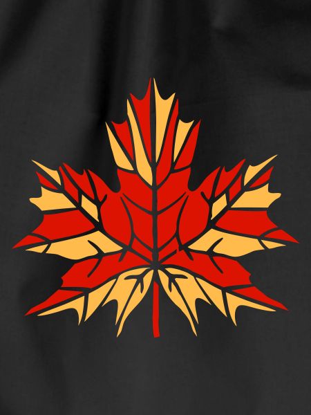 Autumn leaf