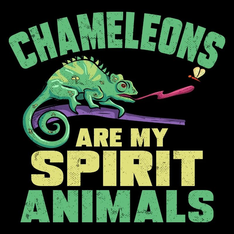 Chameleon Lizard Reptile Herpetologist